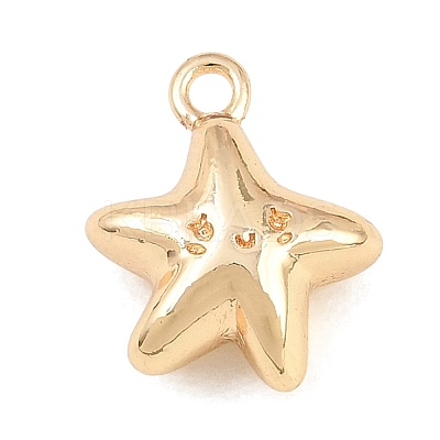 304 Stainless Steel Charms SA-CBA4377-02D-G-1