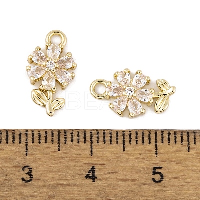 Brass Micro Pave Clear Cubic Zirconia Charms LS-KK-L212-18G-1