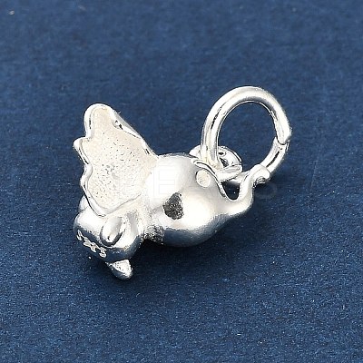 925 Sterling Silver Pendants LS-FIND-Z069-02S-1