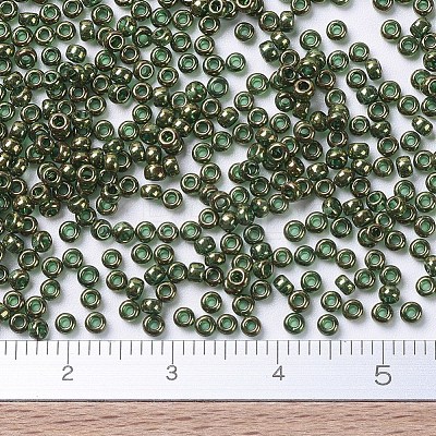 MIYUKI Round Rocailles Beads X-SEED-G007-RR0307-1