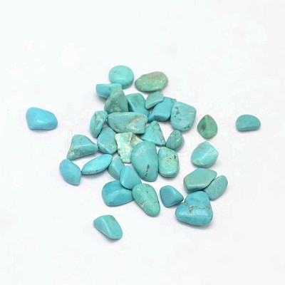 Dyed & Heated Natural Howlite Chip Beads LS-X-G-L453-01-1