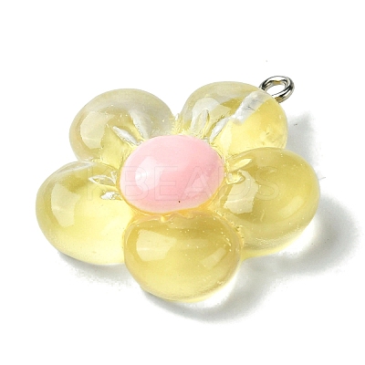 Translucent Resin Pendants RESI-P039-01P-1