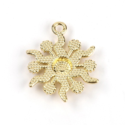 Alloy Glass Rhinestone Pendants FIND-WH0060-36LG-1
