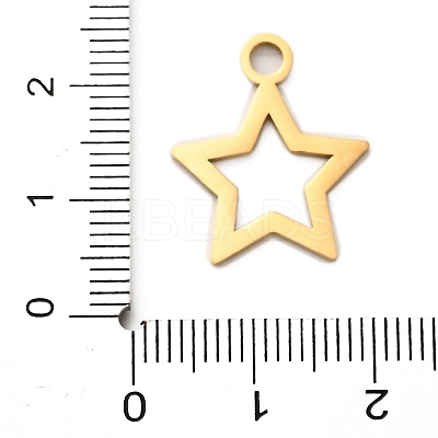 304 Stainless Steel Pendants LS-STAS-M117-01C-G-1