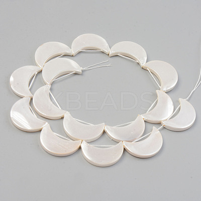 Electroplate Natural Freshwater Shell Beads Strands SHEL-T017-15B-1