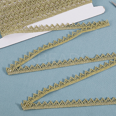 5Yards Polyester Lace Trim Ribbons OCOR-GF00005-12B-1