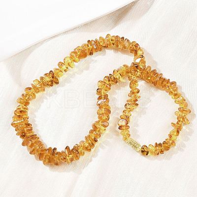 Natural Amber Chip Beaded Necklaces NJEW-L466-03B-1