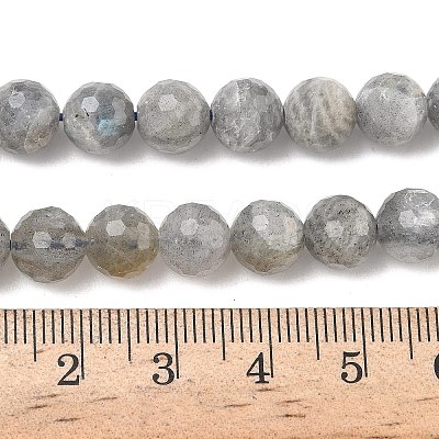 Natural Labradorite Beads Strands G-L642-F07-8mm-1