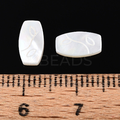 Natural White Shell Cabochons BSHE-T014-18-1