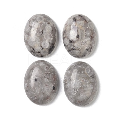 Natural Maifanite Cabochons G-B080-01A-12-1