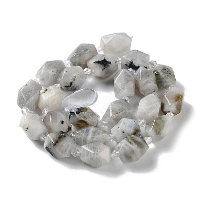 Natural Labradorite Beads Strands G-C182-25-01-1
