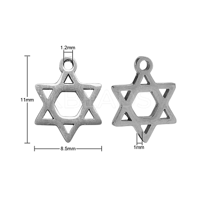 304 Stainless Steel Charms STAS-CJ0002-06-1