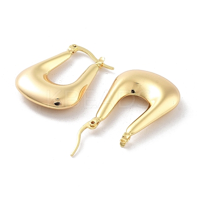 Brass Hoop Earrings EJEW-H301-02G-04-1
