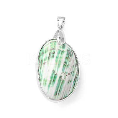 Natural Sea Shell Pendants SHEL-F005-01P-1
