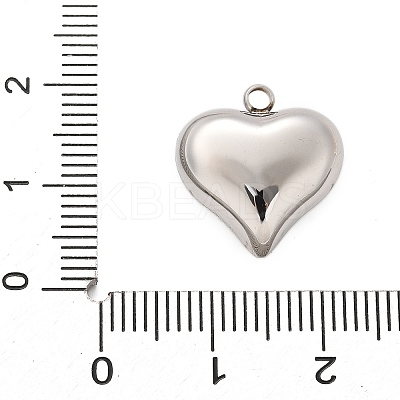 304 Stainless Steel Pendants STAS-Q349-02F-P-1
