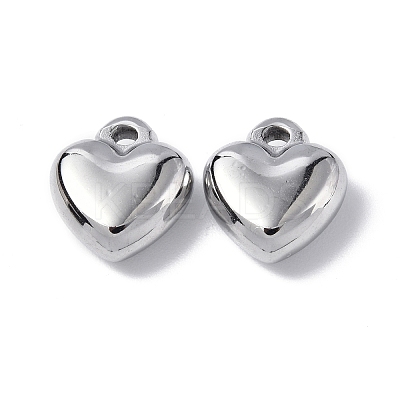Non-Tarnish 304 Stainless Steel Charms STAS-C066-16P-1