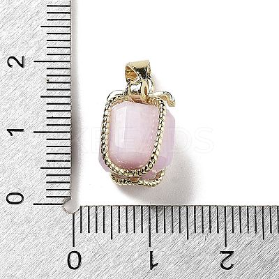 Natural Kunzite Gift Box Charms LS-G-P523-01G-04-1