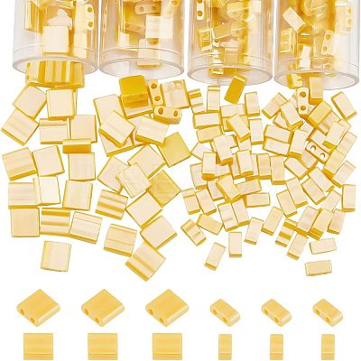 530Pcs 2 Style 2-Hole Glass Seed Beads SEED-NB0001-74-1