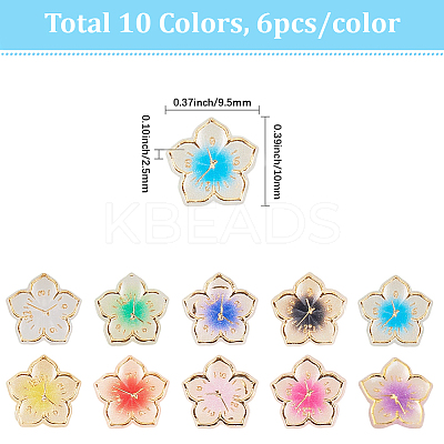 60Pcs 10 Colors Plating Acrylic Cabochons MRMJ-SC0001-46-1