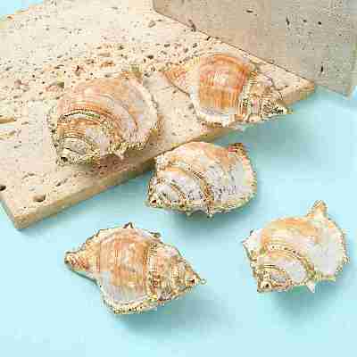 5Pcs Natural Sea Shell Big Pendants with Golden Brass Edge BSHE-YW0001-16-1