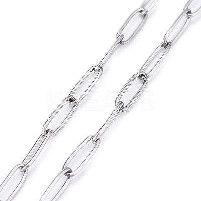 3Pcs 304 Stainless Steel Paperclip Chains Eyeglasses Chains AJEW-DJ0003-47-1