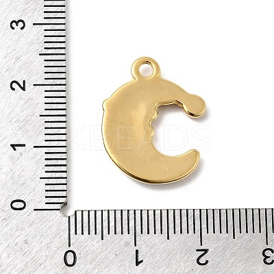 304 Stainless Steel Enamel Pendants STAS-P427-05A-G-1