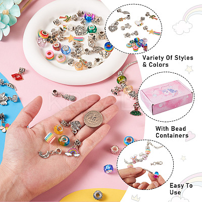 DIY Europen Bracelet Necklace Making Kit DIY-CD0001-46-1