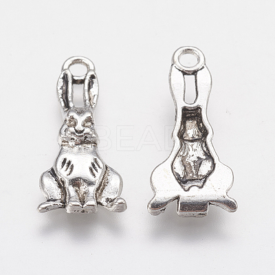 Tibetan Style Alloy Pendants LS-PALLOY-A15373-AS-NF-1