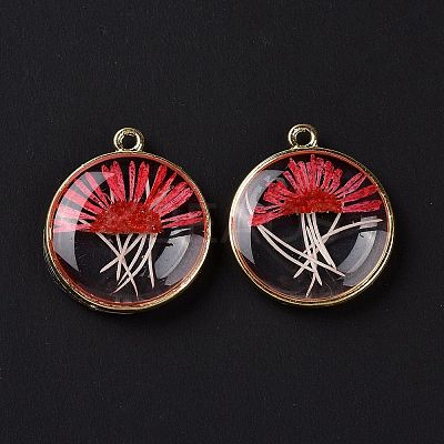Transparent Clear Epoxy Resin Pendants RESI-L036-08G-01-1