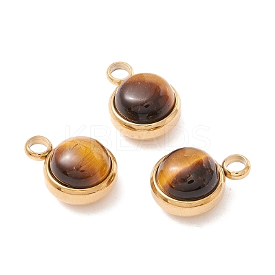 Natural Mixed Stone Charms G-K325-01G-1