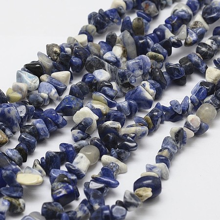 Natural Sodalite Beads Strands G-F328-25-1