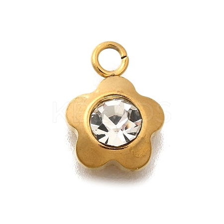 304 Stainless Steel Pave Cubic Zirconia Charms STAS-D310-07G-02-1