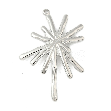 304 Stainless Steel Pendants STAS-L293-09B-P-1