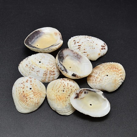 Dyed Natural Shell Beads BSHE-O007-54D-1