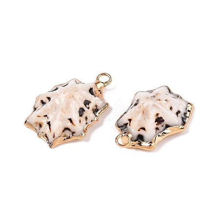 Natural Sea Shell Pendants SSHEL-N038-21-1