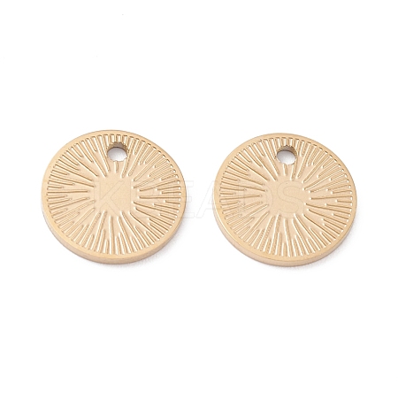 Ion Plating(IP) 316 Surgical Stainless Steel Charms STAS-H163-03G-1