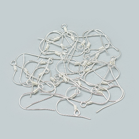 925 Sterling Silver Earring Hooks STER-T002-170S-1