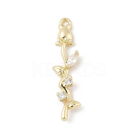 Brass Micro Pave Cubic Zirconia Pendants LS-KK-M326-13C-G-1