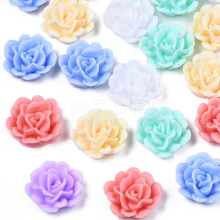 Opaque Resin Cabochons CRES-S307-020-B01-1