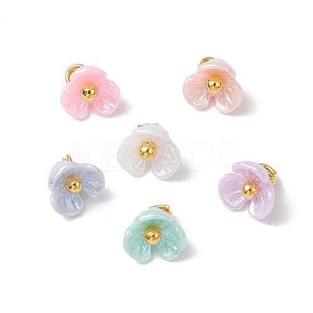 6Pcs Resin Imitation Pearl Charms PALLOY-JF03422-1