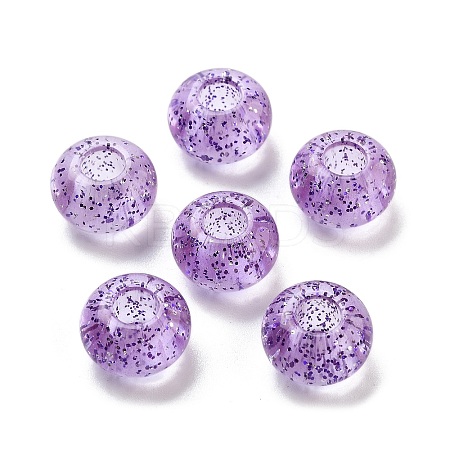 Transparent Acrylic European Beads TACR-P009-A01-05-1