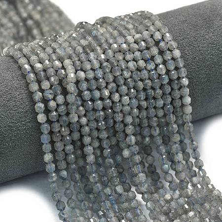 Natural Labradorite Beads Strands G-A260-A44-01A-1