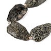 Natural Snowflake Obsidian Beads Strands G-P548-B20-01-3