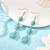 Dyed Tortoise Synthetic Turquoise Dangle Earrings EJEW-JE07362-02-5