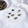 60Pcs Iron Round Head Nails CABI-LP0001-02AB-1