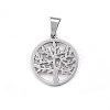 Non-Tarnish 304 Stainless Steel Pendants LS-STAS-P209-14P-2