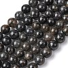 Natural Iolite Beads Strands G-K366-G02-01-2