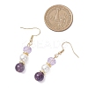 Round Natural Amethyst Dangle Earrings EJEW-JE06778-03-3