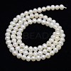Natural Cultured Freshwater Pearl Beads Strands PEAR-L001-F-13-3