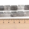 Natural Cloudy Quartz Beads Strands G-S396-03A-6